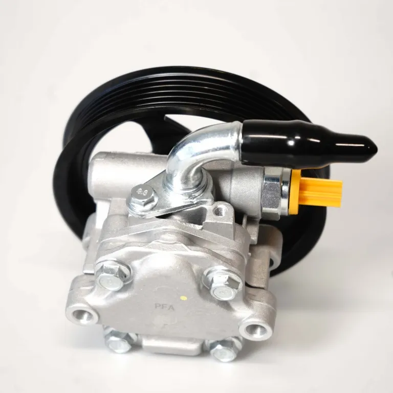 FG Falcon Power Steering Pump